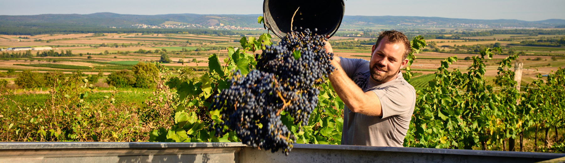 Weingut Martin Reinfeld